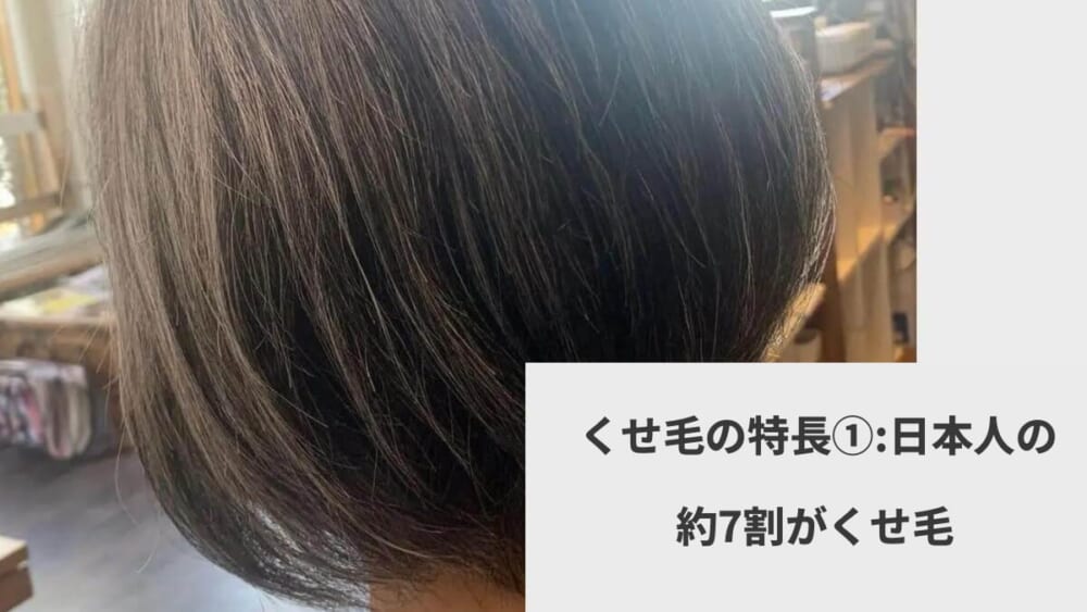 くせ毛の特長①  ｜  日本人の約7割がくせ毛